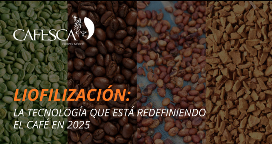 Liofilización: La Tecnología que Está Redefiniendo el Café en 2025