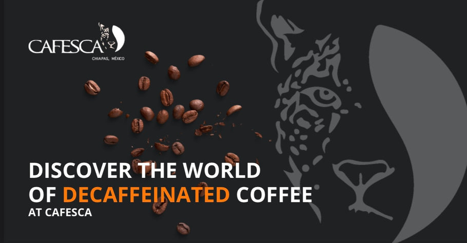 Discover the World of Decaffeinated Coffee at CAFESCA